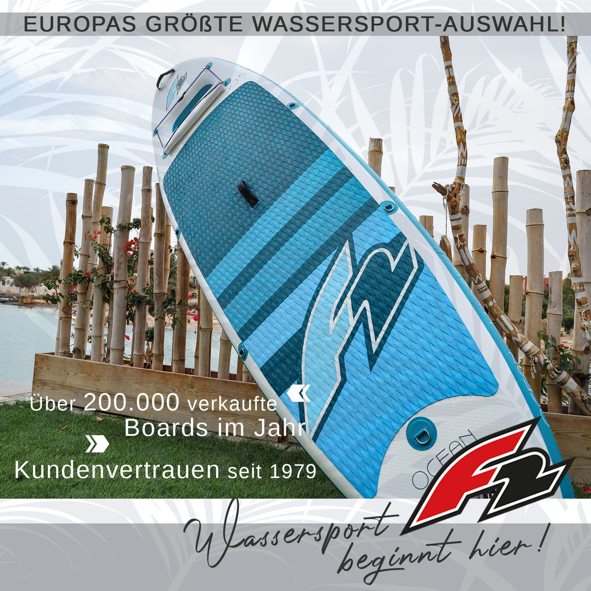F2 SUP Stand Up Paddle Board Ocean Sight Board Only Größe/Farbe wählen